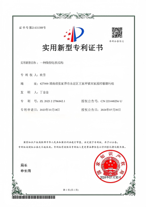 一种微型电机结构.png