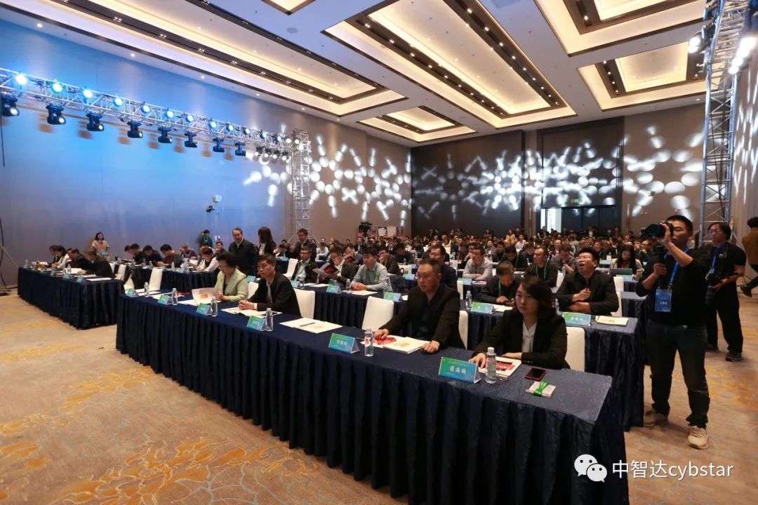 性生生活大片免费看视频